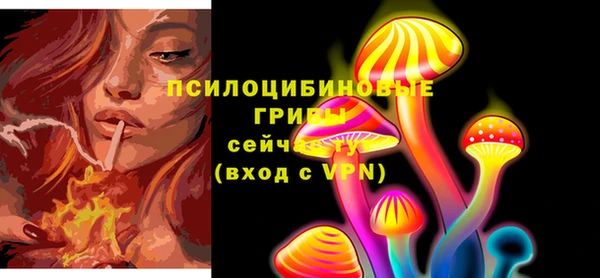 гидра Белокуриха