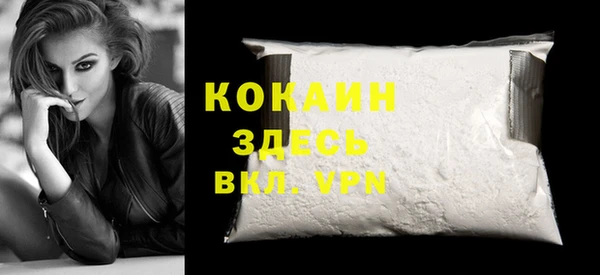 гидра Белокуриха