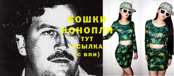 гидра Белокуриха