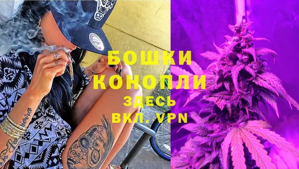 гидра Белокуриха