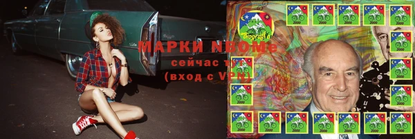 гидра Белокуриха