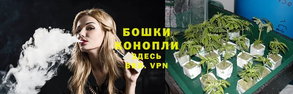 гидра Белокуриха