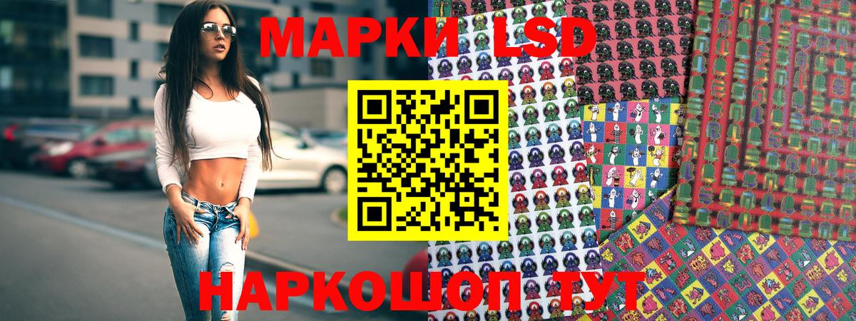 Наркотические марки 1500мкг  Вход с VPN  Наркотические марки  Благодарный  Наркотические марки 1500мкг 