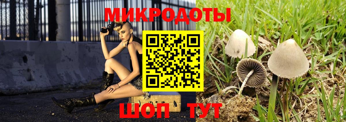 Благодарный  Псилоцибиновые грибы ЛСД  Вход с VPN  Псилоцибиновые грибы прущие грибы 